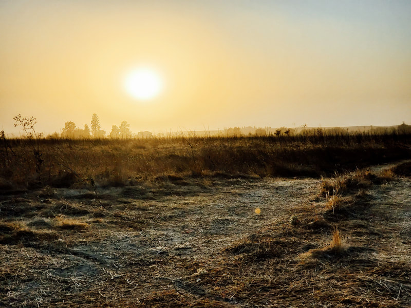 a golden sun highlights the hazy air over a dry field
