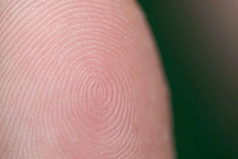 a close up of a fingerprint with a swirling circular pattern